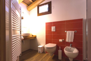 Camera Melograno Bagno doccia
